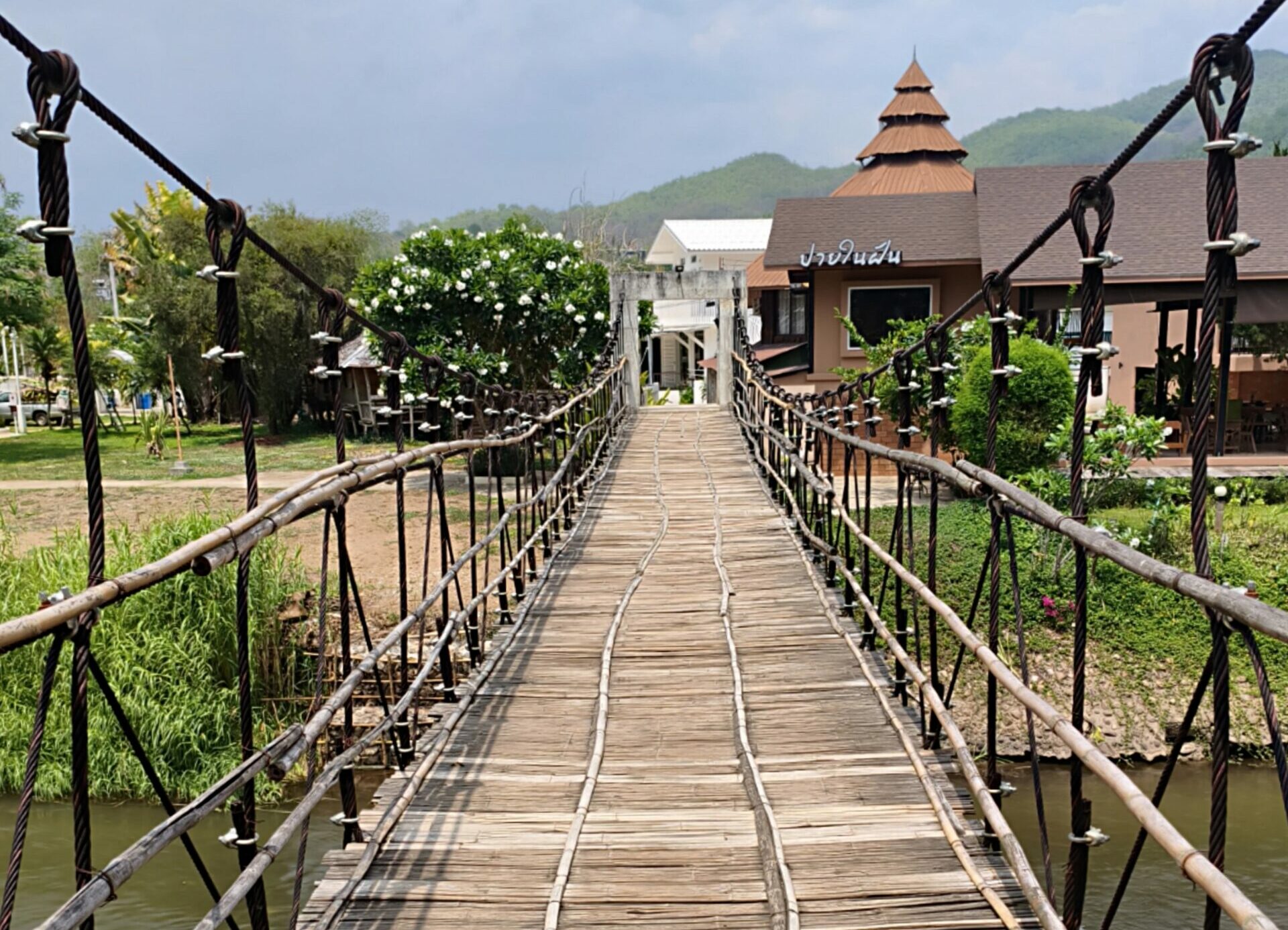 Puente de bambú simbolizando el camino de la vida y la reflexión emocional